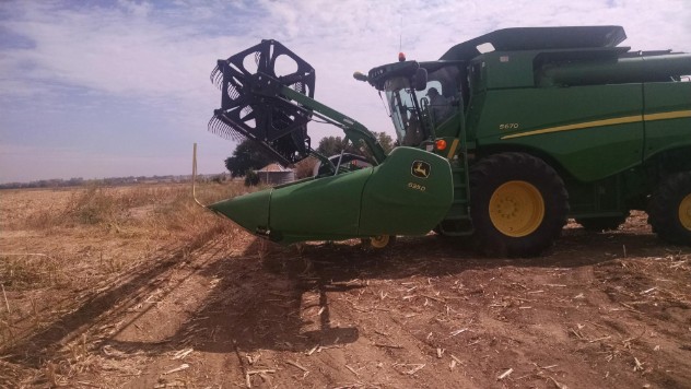 Hemp Field Cutter